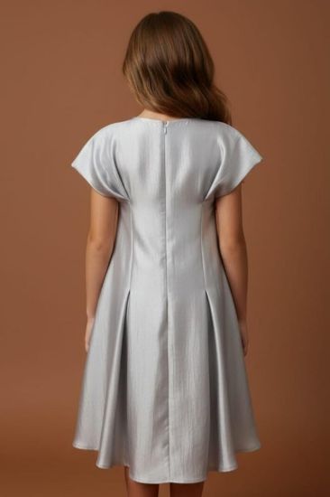 صورة فستان رمادي مع الؤلؤ والكسرات في نص الفستان